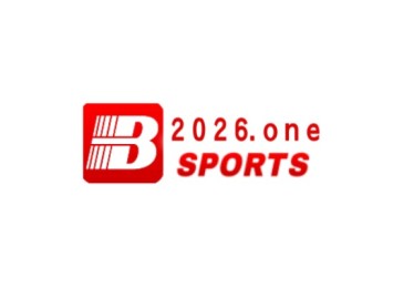2010年南非世界杯冠军，2010南非世界杯南非第几名